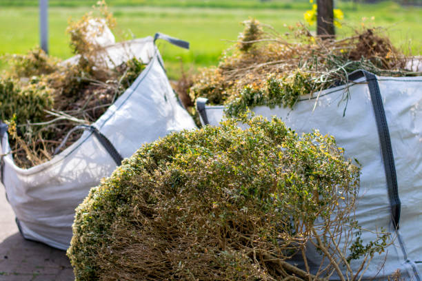 Trash Removal Near Me in Stanley, VA